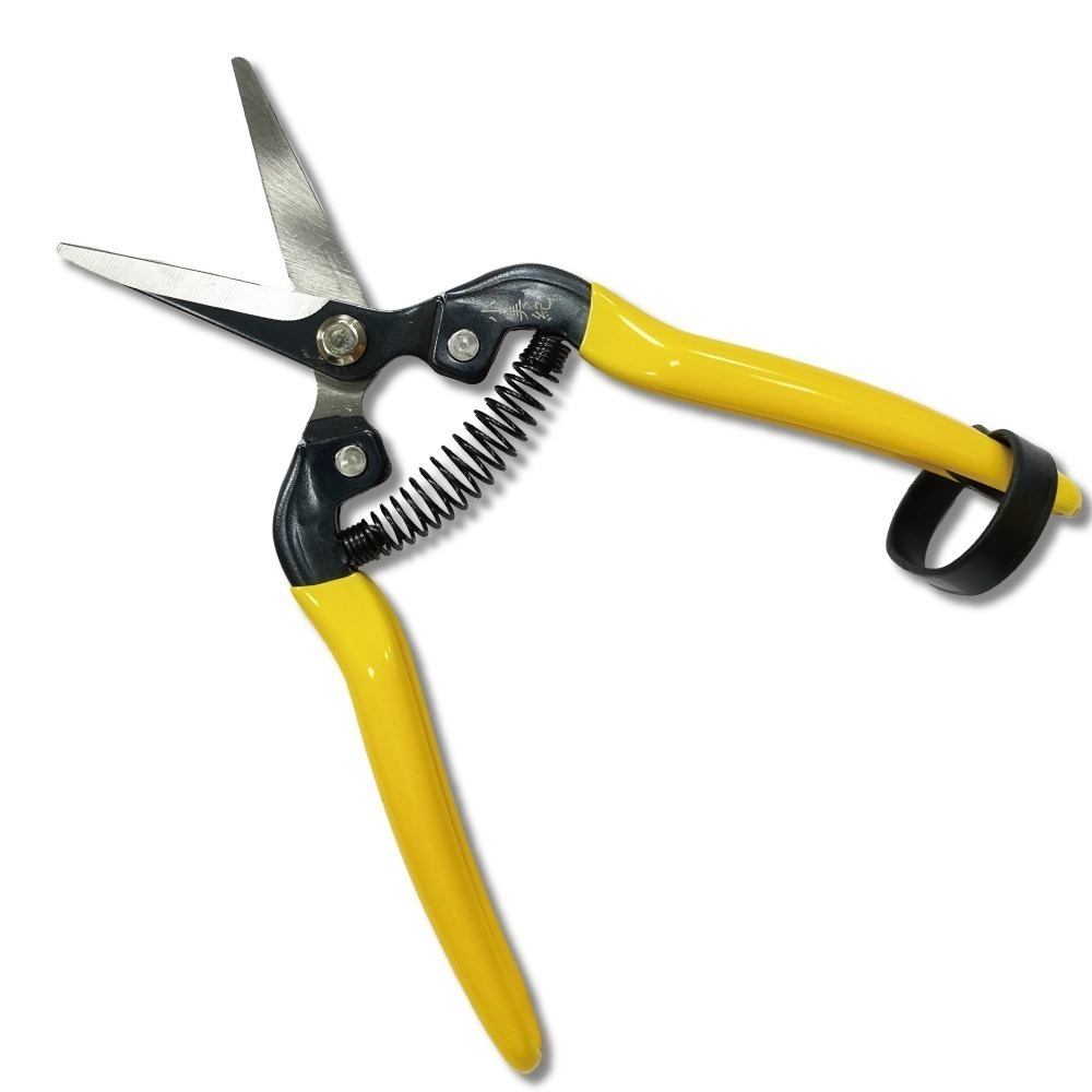 【小美紀】芽切剪 剪定鋏 修枝剪 樹剪 盆栽 剪刀 花剪 採果剪 樹葉剪 園藝剪 植物保鑣 花剪 小美紀-細節圖2