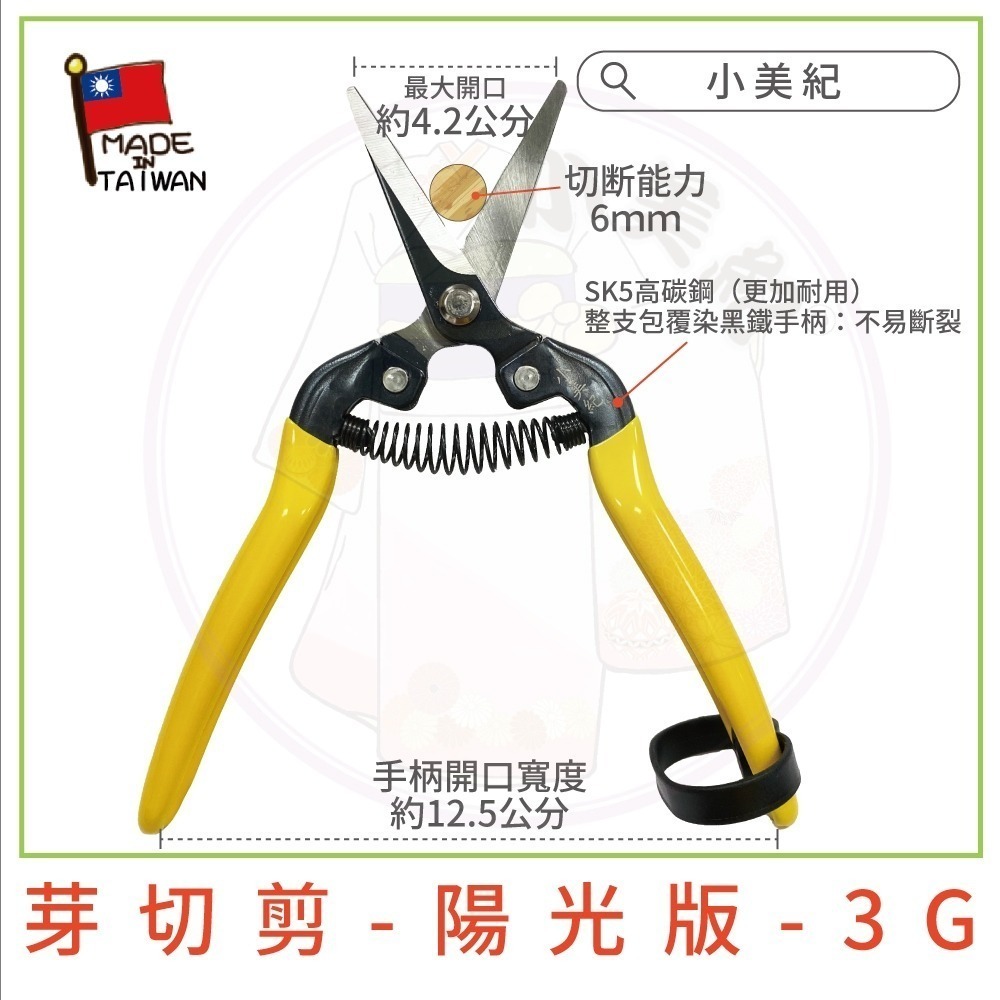 【小美紀】芽切剪 剪定鋏 修枝剪 樹剪 盆栽 剪刀 花剪 採果剪 樹葉剪 園藝剪 植物保鑣 花剪 小美紀-細節圖3