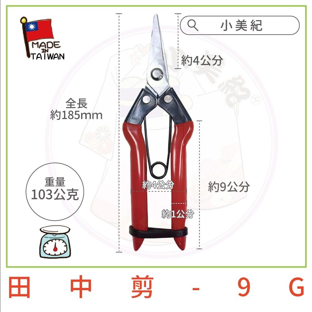 【小美紀】芽切剪 剪定鋏 修枝剪 樹剪 盆栽 剪刀 花剪 採果剪 樹葉剪 園藝剪 植物保鑣 花剪 小美紀-規格圖8