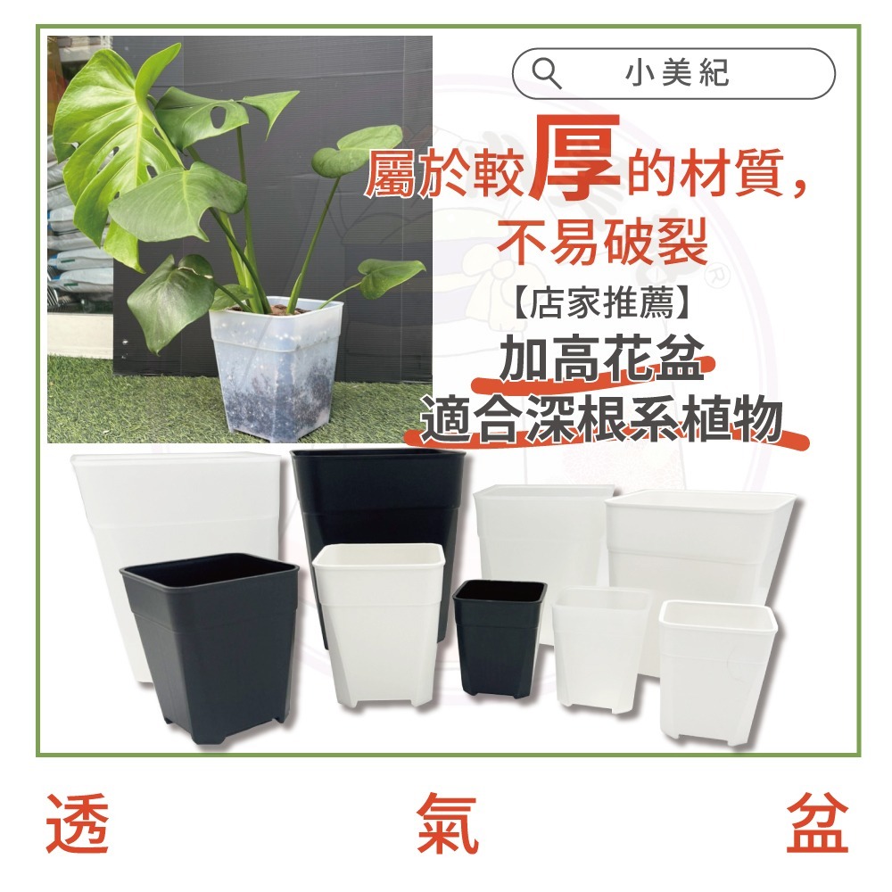 【小美紀】透氣盆(園藝資材)3寸 4寸 5寸 6寸 花架 花架 盆裁 花盆 圓盆 園藝掛架 多肉盆 園藝 多肉土 多肉-細節圖3