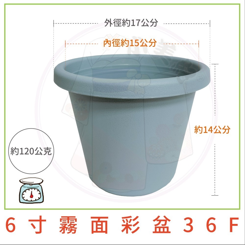 【小美紀】霧面彩盆(園藝資材) 育苗盆 栽培盆 彩盆 草莓盆 4寸 6寸 8寸 10寸圓盆 多肉盆 園藝-細節圖4