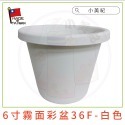 【小美紀】霧面彩盆(園藝資材) 育苗盆 栽培盆 彩盆 草莓盆 4寸 6寸 8寸 10寸圓盆 多肉盆 園藝-規格圖11
