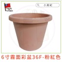 【小美紀】6寸霧面彩盆(園藝資材) 育苗盆 栽培盆 彩盆 草莓盆 6寸圓盆 多肉盆 園藝-規格圖11