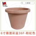 【小美紀】霧面彩盆(園藝資材) 育苗盆 栽培盆 彩盆 草莓盆 4寸 6寸 8寸 10寸圓盆 多肉盆 園藝-規格圖11