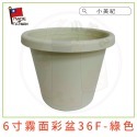 【小美紀】霧面彩盆(園藝資材) 育苗盆 栽培盆 彩盆 草莓盆 4寸 6寸 8寸 10寸圓盆 多肉盆 園藝-規格圖11