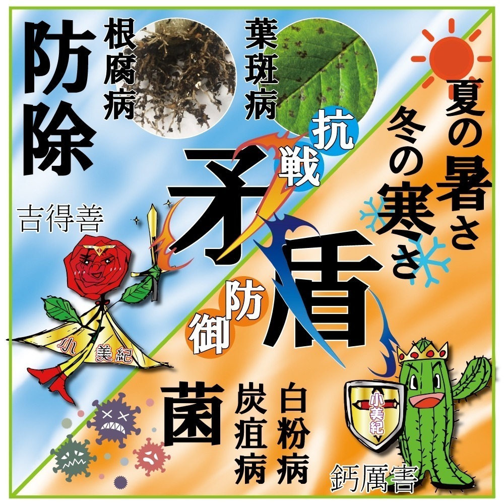 【小美紀】植物保護劑(園藝資材)爛根 白粉病 線蟲 根腐 炭疽 盆栽 觀葉 多肉植物 嫁接 阡插 真菌 土壤 葉斑 葉蟎-細節圖3