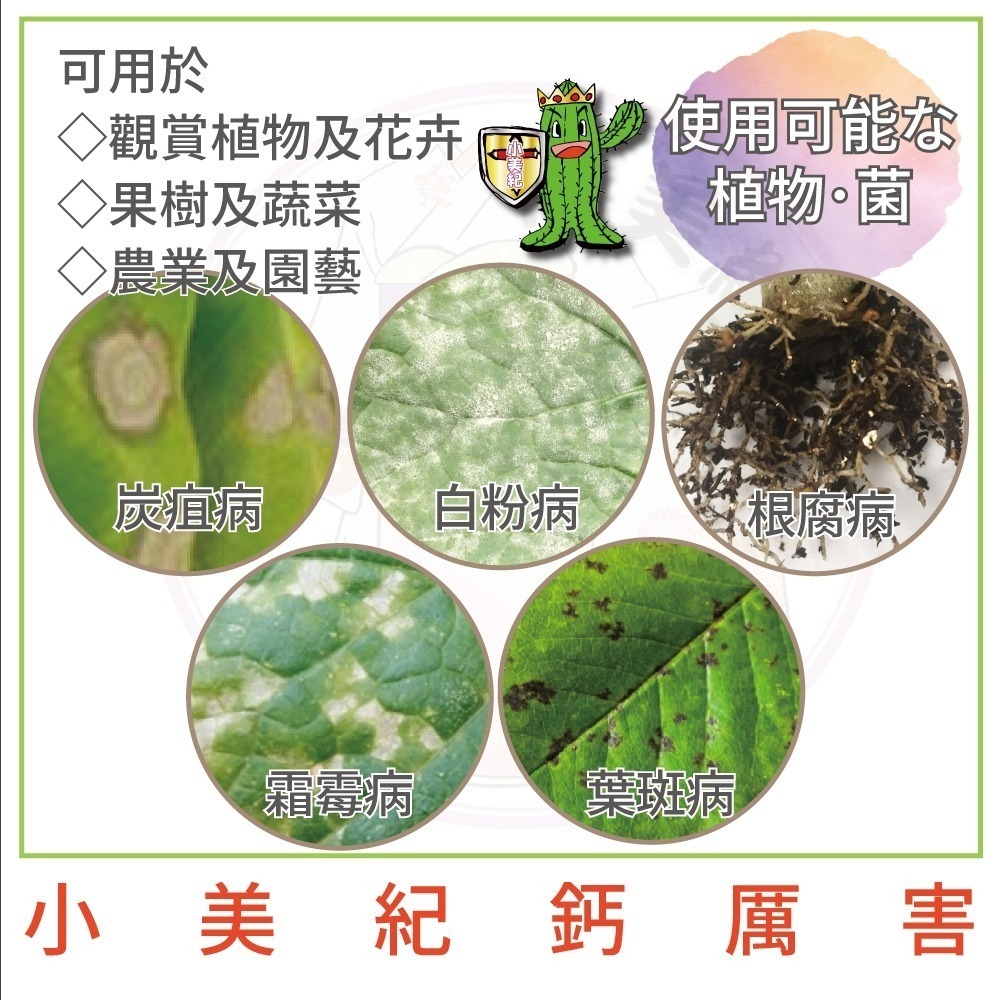 【小美紀】植物保護劑(園藝資材)爛根 白粉病 線蟲 根腐 炭疽 盆栽 觀葉 多肉植物 嫁接 阡插 真菌 土壤 葉斑 葉蟎-細節圖6