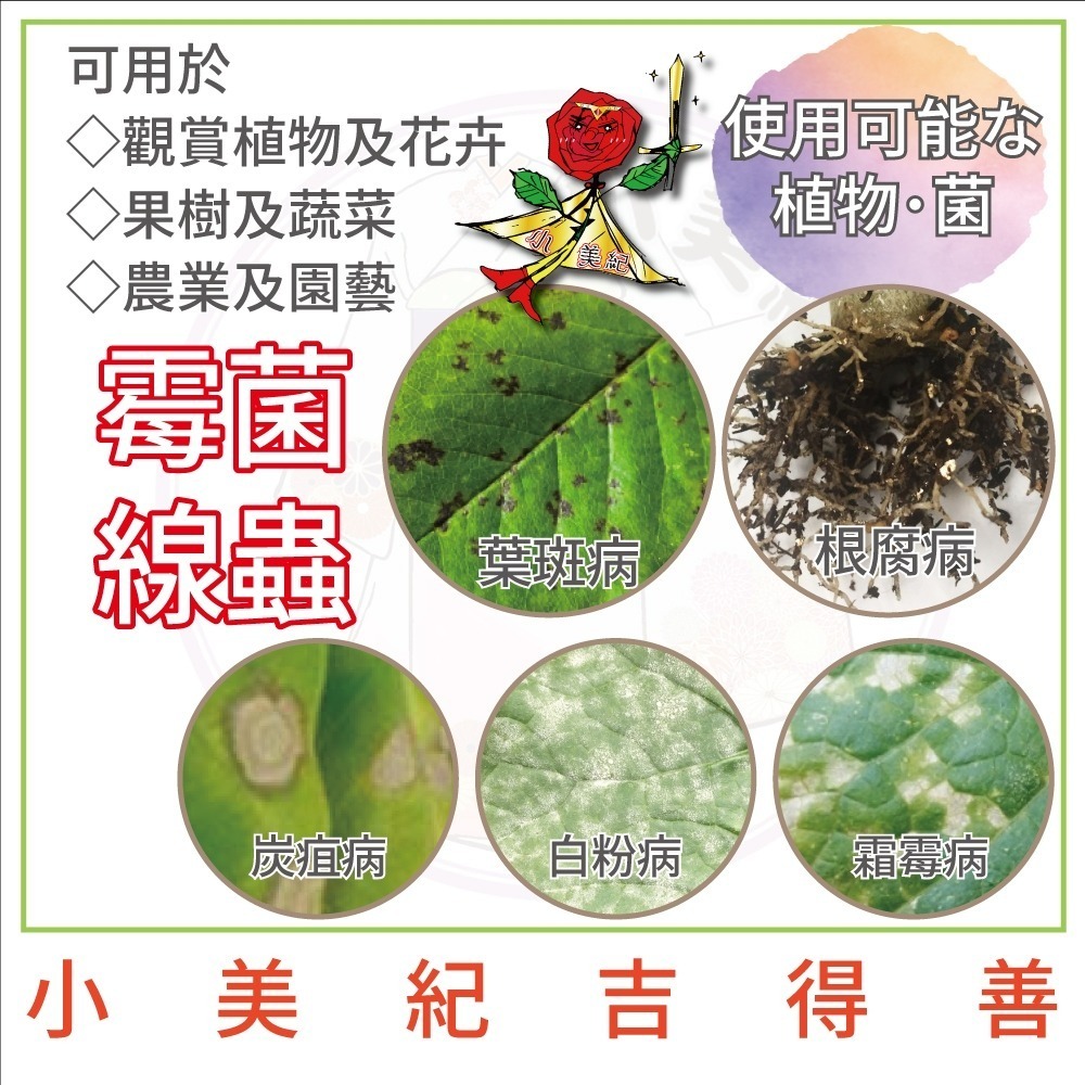 【小美紀】植物保護劑(園藝資材)爛根 白粉病 線蟲 根腐 炭疽 盆栽 觀葉 多肉植物 嫁接 阡插 真菌 土壤 葉斑 葉蟎-細節圖7