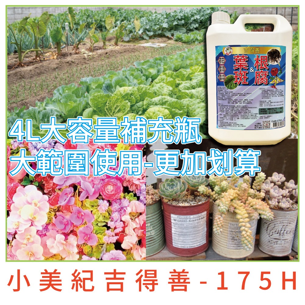 【小美紀】植物保護劑(園藝資材)爛根 白粉病 線蟲 根腐 炭疽 盆栽 觀葉 多肉植物 嫁接 阡插 真菌 土壤 葉斑 葉蟎-規格圖9