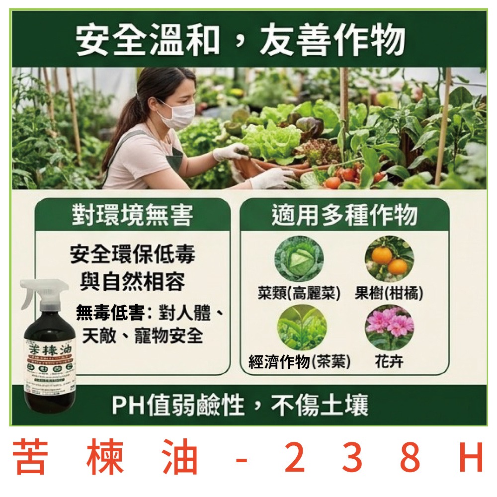 【小美紀】 苦楝油 免稀釋 (真菌蟲害)白粉病 葉斑病 紅蜘蛛 蚜蟲 薊馬 茶皂素 蝸牛 介殼蟲 葉蟎 毛毛蟲 蟲蟲-細節圖5