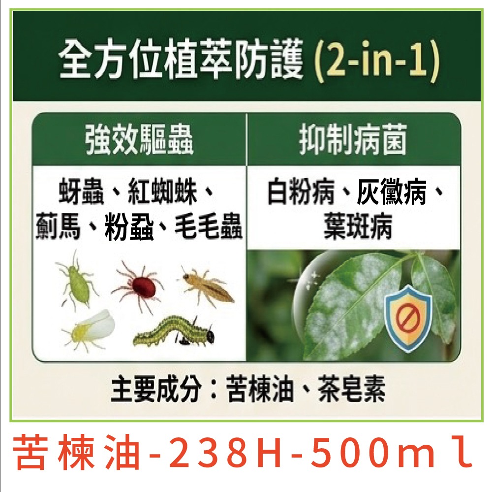 【小美紀】 苦楝油 免稀釋 (真菌蟲害)白粉病 葉斑病 紅蜘蛛 蚜蟲 薊馬 茶皂素 蝸牛 介殼蟲 葉蟎 毛毛蟲 蟲蟲-細節圖6