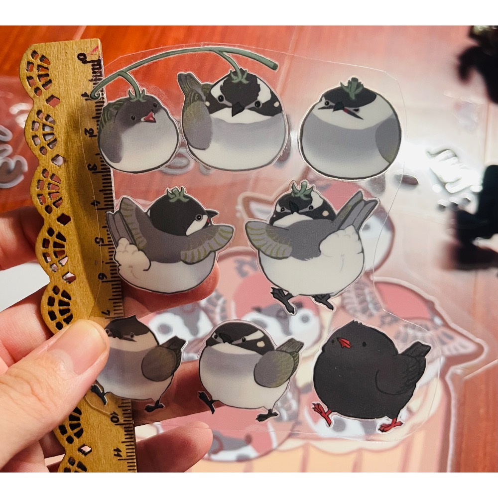 白頭翁烏頭翁黑鵯果實