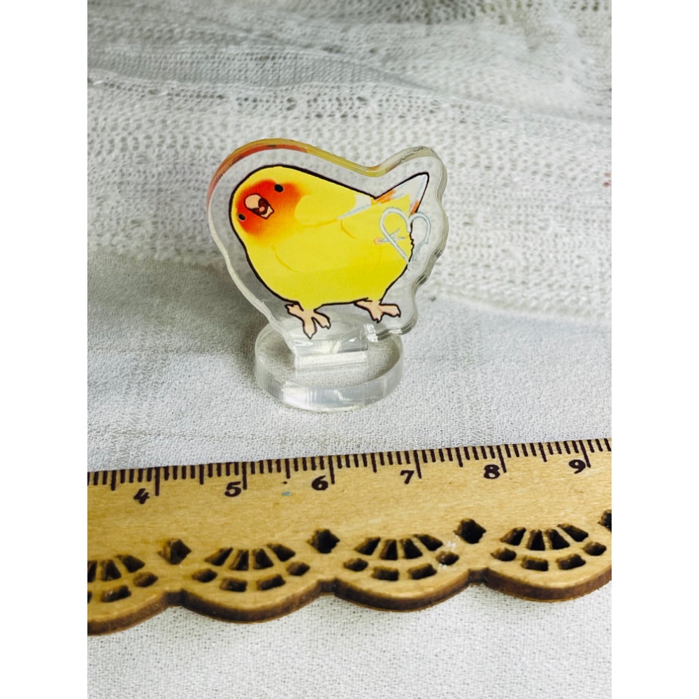3cm小立牌小鳥立牌 麻雀 白頭翁 綠繡眼 鸚鵡-規格圖9