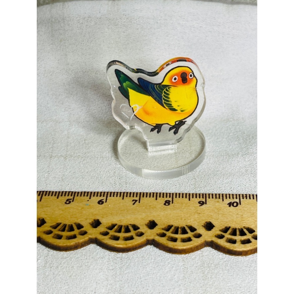 3cm小立牌小鳥立牌 麻雀 白頭翁 綠繡眼 鸚鵡-規格圖9