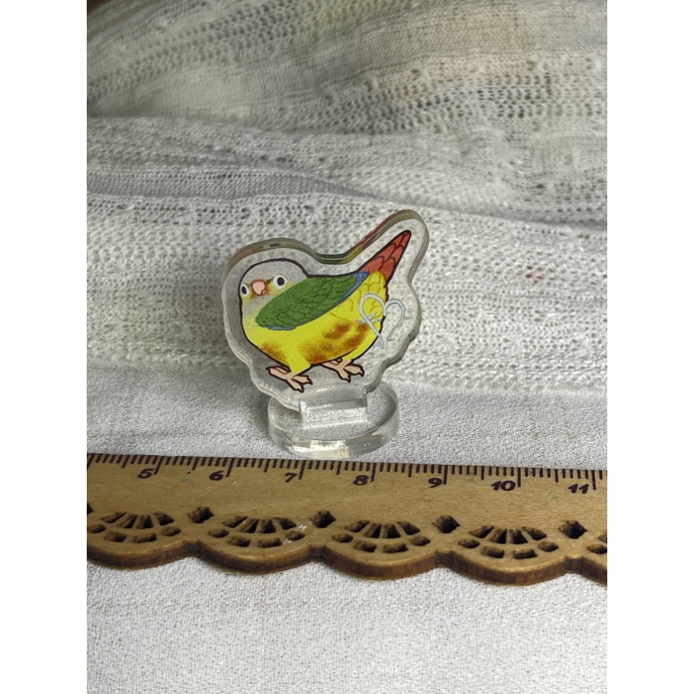 鳳梨小太陽