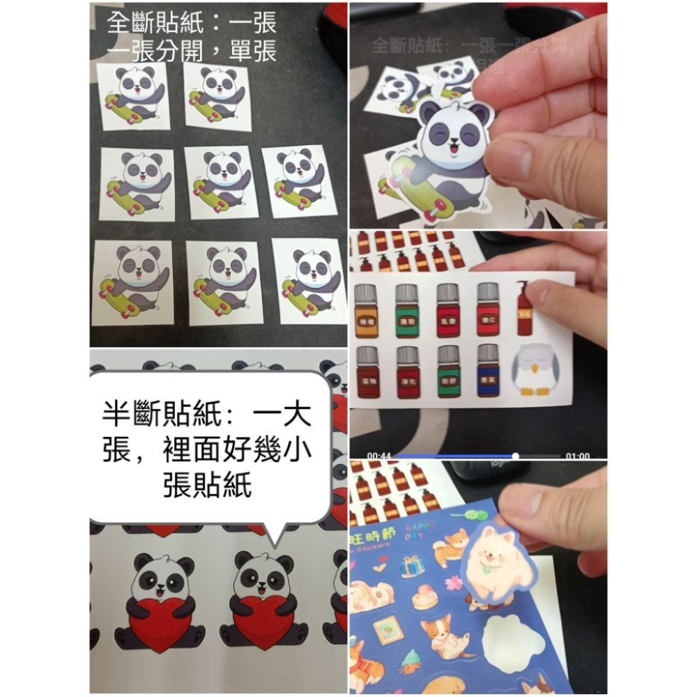 客製烏魚子貼紙 或特殊形狀貼紙 白底延邊切割姓名貼業務貼紙冷泡茶貼紙水果 加價全斷贈品貼紙精油 學生畢業展作品集米琪印刷-細節圖8