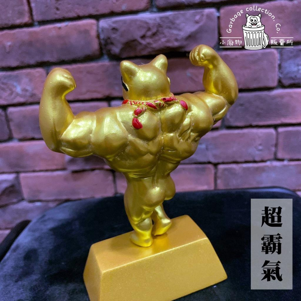 『台灣現貨/當天出貨』招財貓 肌肉健美招財貓 黃金招財貓  開業禮物  健身房招財貓-細節圖4