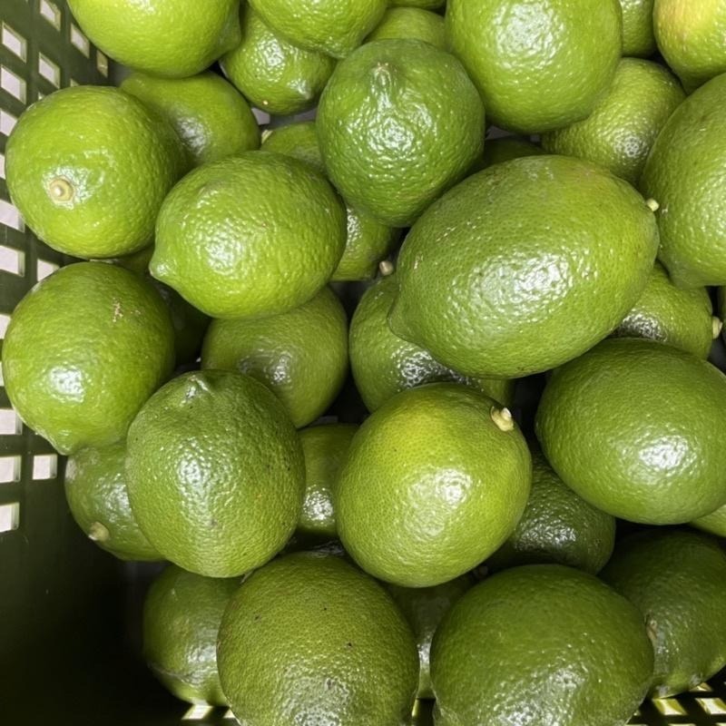 [王賊海] 1箱檸檬原汁 (24瓶 x 750cc冷凍) 檸檬汁快速下單 飲料店/手搖飲/量販批發/珍珠奶茶店-細節圖3