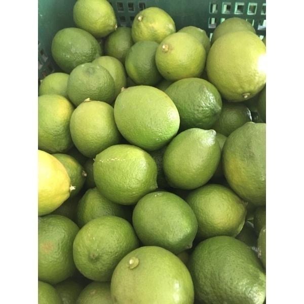 王賊海 水果原汁（3-6瓶） 柳丁汁 芒果汁 芭樂汁 百香果汁 甘蔗汁  檸檬汁原汁 葡萄汁 紅葡萄柚純汁 椰子水-細節圖9