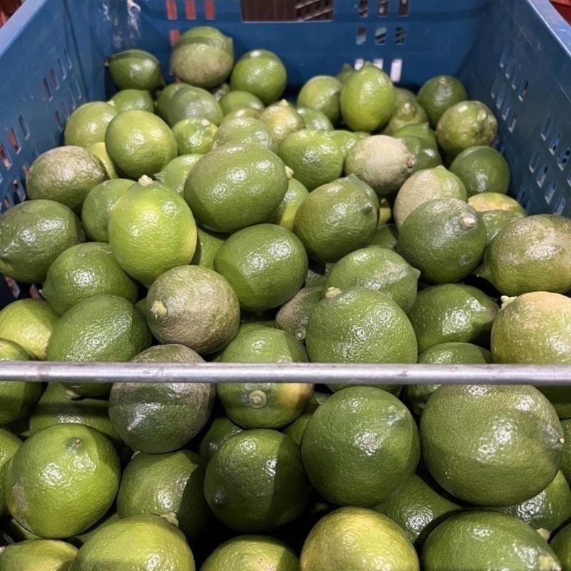 [王賊海] 屏東檸檬 榨汁專用B果/B級果/屏東四季檸檬有籽檸檬榨汁用檸檬花皮(A級另售)-細節圖6