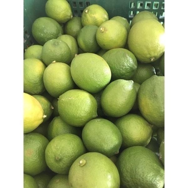 王賊海 屏東檸檬 A級果(10斤/20斤/30斤) A果/屏東四季檸檬/有籽檸檬(B級另售)-細節圖2