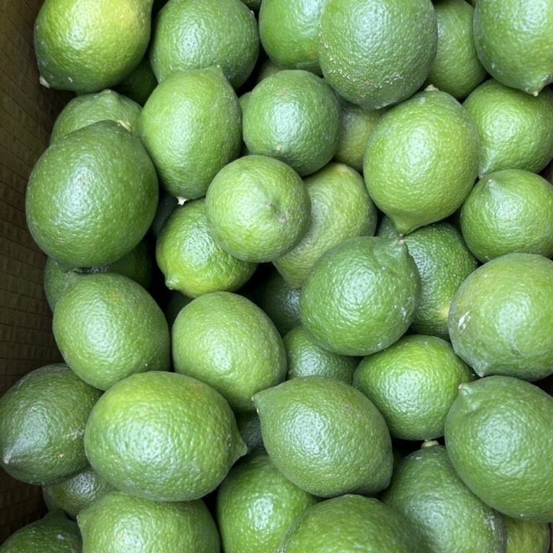 王賊海 屏東檸檬 A級果(10斤/20斤/30斤) A果/屏東四季檸檬/有籽檸檬(B級另售)-細節圖4