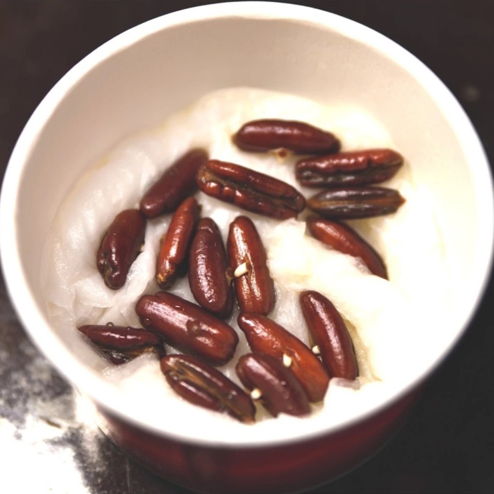 【稀有】Medjool摩洛哥頂級椰棗種子12顆_又名＂帝王椰棗＂，世界最大椰棗品種-細節圖2