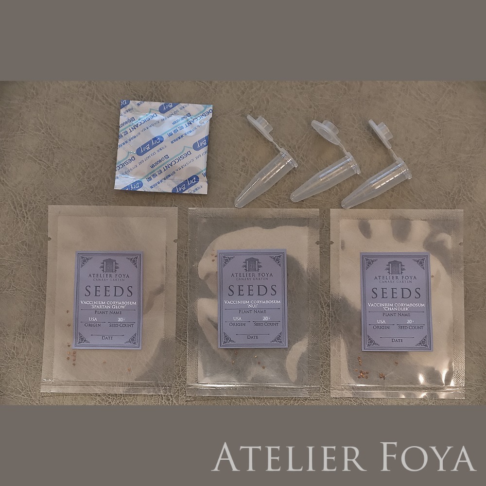 A套餐（斯巴坦之光、努伊、錢德勒）