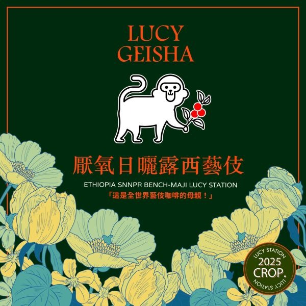【生豆區】厭氧日曬露西藝伎 | 衣索比亞 | 班奇馬吉 | 露西處理站 | 厭氧日曬 | 頂級G1藝伎-細節圖3