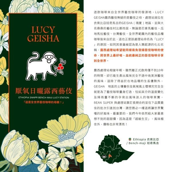 【生豆區】厭氧日曬露西藝伎 | 衣索比亞 | 班奇馬吉 | 露西處理站 | 厭氧日曬 | 頂級G1藝伎-細節圖2