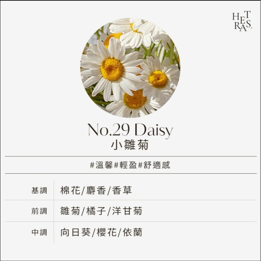 No.29 Daisy雛菊GD同款