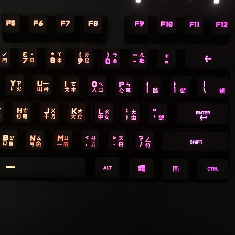 羅技 Logitech G213 RGB PRODIGY 電競鍵盤 G213 羅技RGB鍵盤-細節圖2