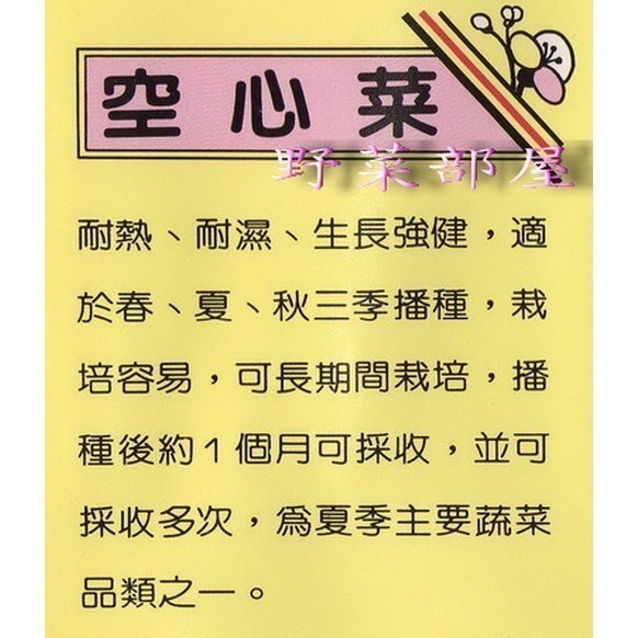 【萌田種子~】A02 竹葉空心菜種子29公克 (約600粒), 俗稱＂小本應菜~-細節圖2