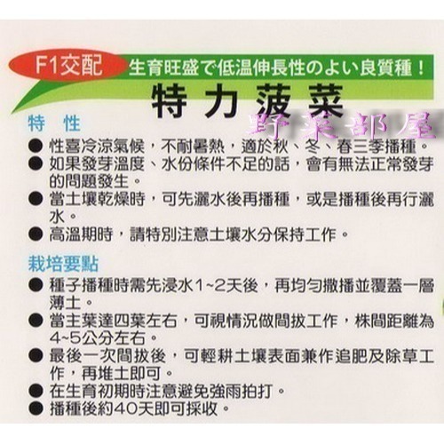 【萌田種子~】A05 日本特力菠菜種子8.5公克(約800粒) , 含豐富的鐵和維他命~-細節圖2