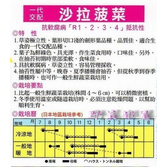 【萌田種子~】A06 沙拉菠菜種子6.2公克( 約600粒) , 可生食品種~-細節圖2