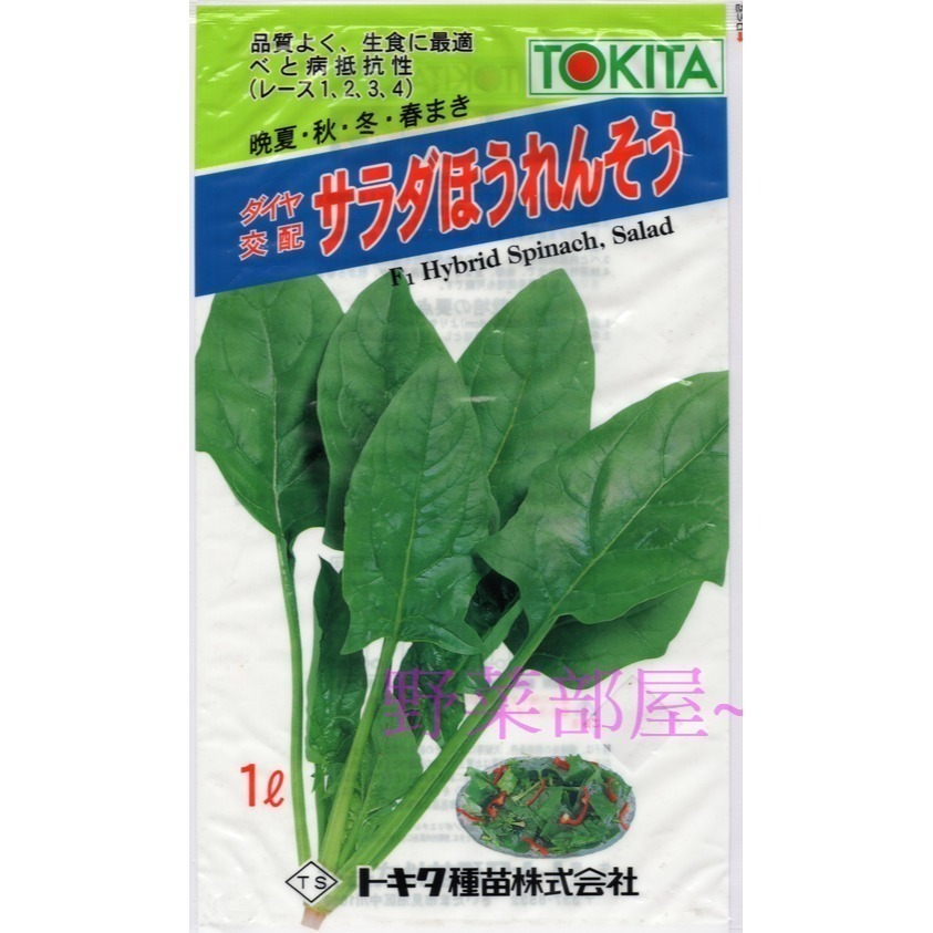 【萌田種子~】A06 沙拉菠菜種子6.2公克( 約600粒) , 可生食品種~-細節圖3