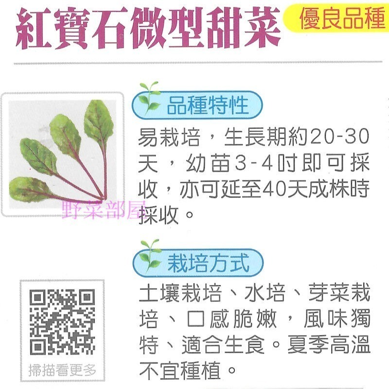 【萌田種子】A12 紅寶石微型甜菜種子2公克 (約150 粒), 易栽培 , 口感脆嫩~-細節圖2