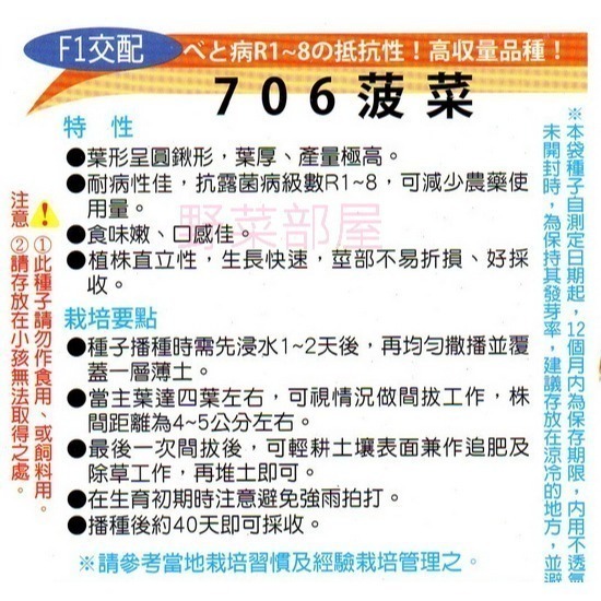 【萌田種子~】A23 日本706菠菜種子8公克(約600粒) ,植株挺立 ,產量高 ,口感佳~-細節圖2