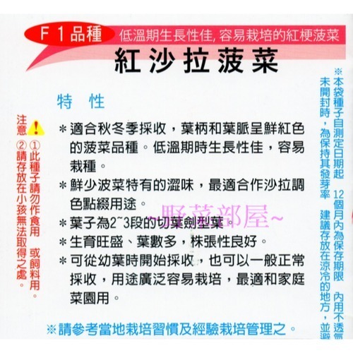 【萌田種子~】A25 紅沙拉菠菜種子2.5公克(約150粒) , 澀味極少 , 適合生菜沙拉使用~-細節圖2