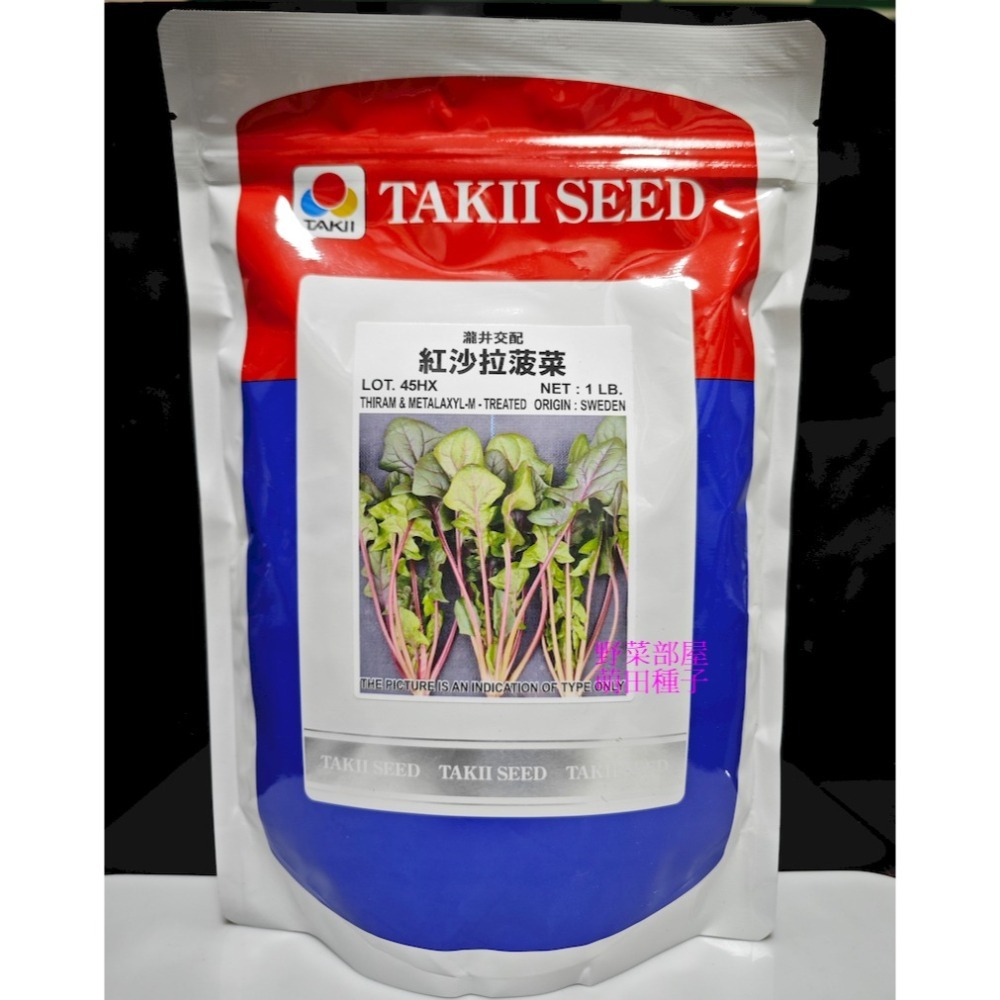 【萌田種子~】A25 紅沙拉菠菜種子2.5公克(約150粒) , 澀味極少 , 適合生菜沙拉使用~-細節圖3