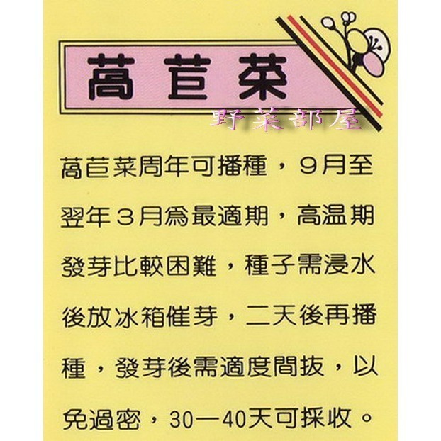 【萌田種子~】B02 丸葉萵苣菜種子6.3公克 ( 約7500粒) , 圓葉萵苣~-細節圖2