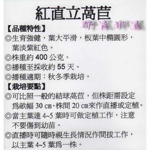 【萌田種子~】B04 紅直立萵苣種子1.1公克(約1000粒) , 紅蘿蔓 , 口感爽脆多汁~-細節圖2