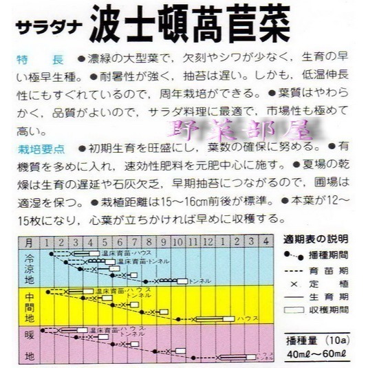 【萌田種子~】B05 日本波士頓萵苣種子0.8公克 (約700粒), 又名奶油生菜~-細節圖2