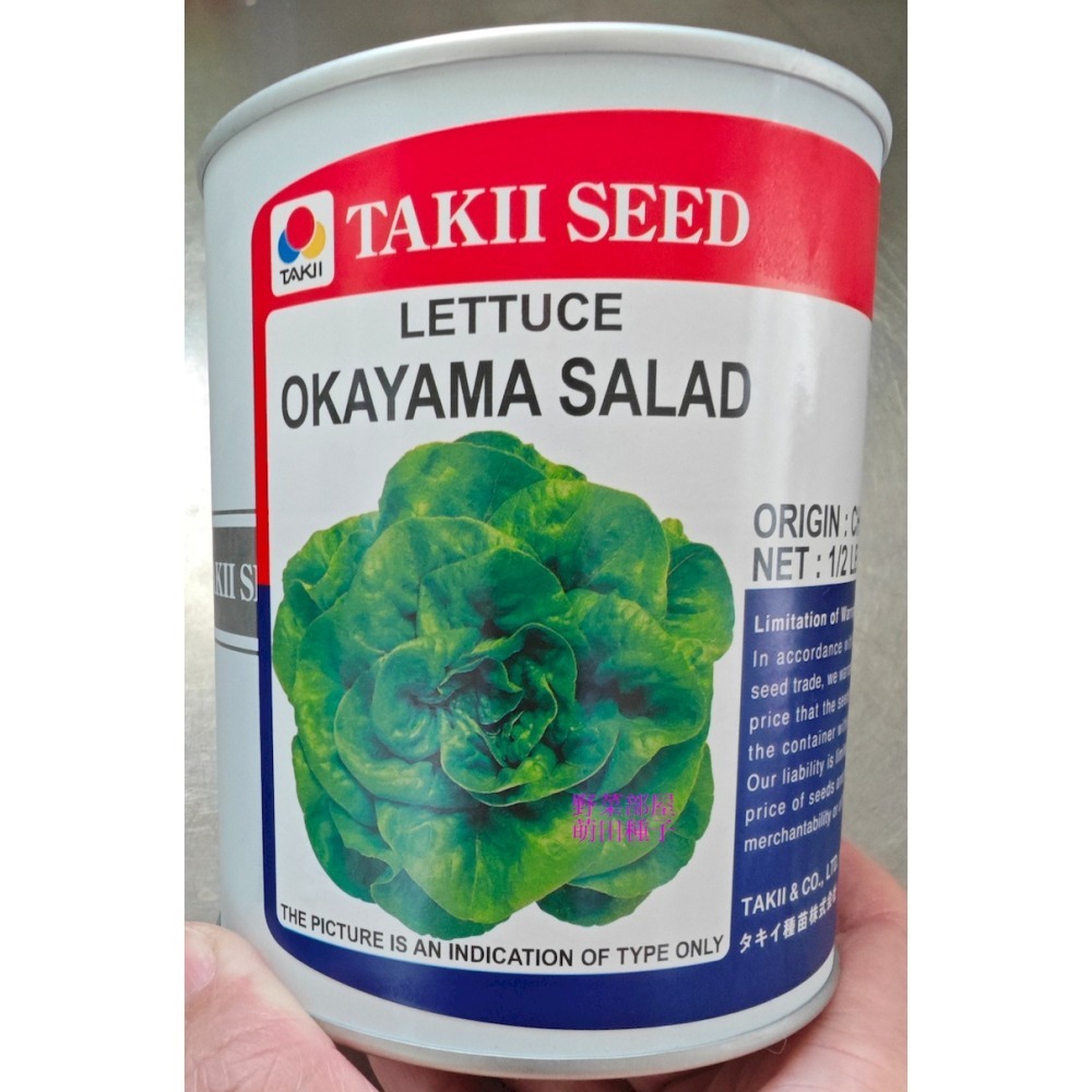 【萌田種子~】B05 日本波士頓萵苣種子0.8公克 (約700粒), 又名奶油生菜~-細節圖3