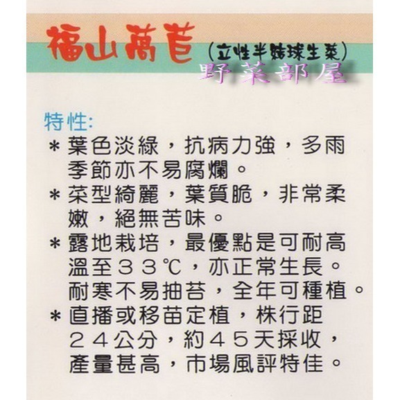 【萌田種子~】B06 福山萵苣種子4.5公克 (約3800粒)  , 又名大陸妹~-細節圖2