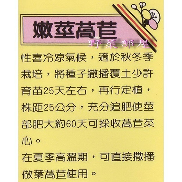 【萌田種子~】B07 大心萵苣種子3.8公克(約3000粒種子) , 綠葉嫩莖萵苣~-細節圖2