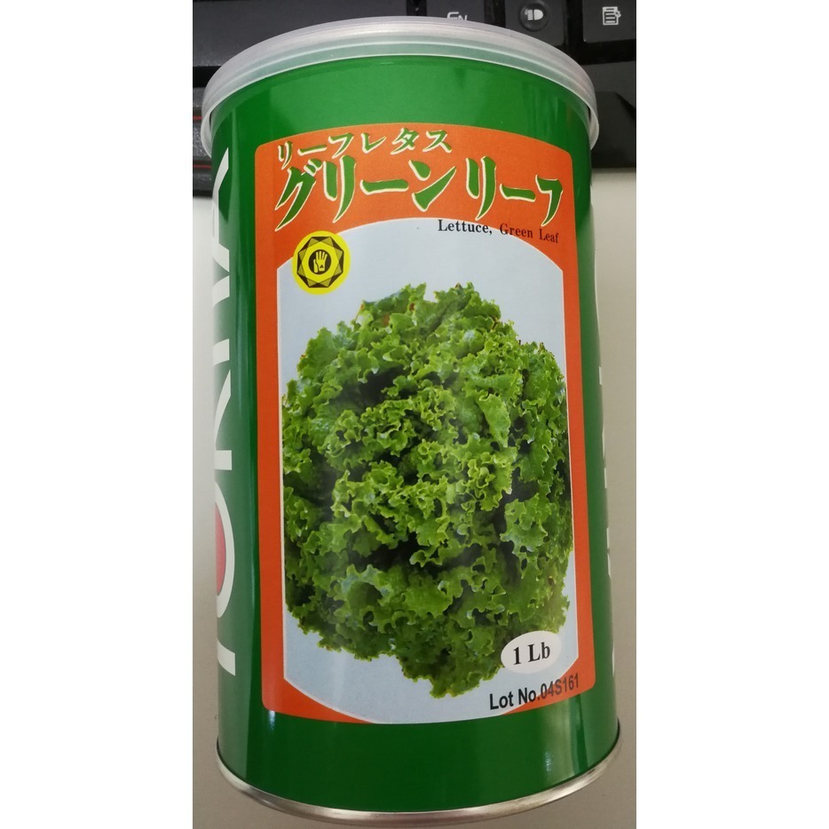 【萌田種子~】B12 綠捲萵苣種子2公克 (約2000粒) , 大球萵苣~-細節圖3