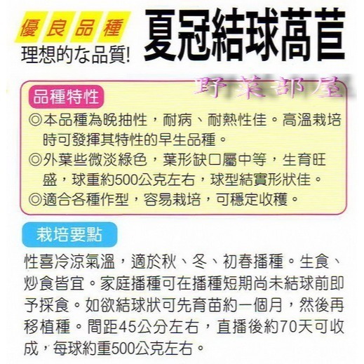 【萌田種子~】B13 日本夏冠結球萵苣種子0.75公克(約600粒) , 美生菜~-細節圖2