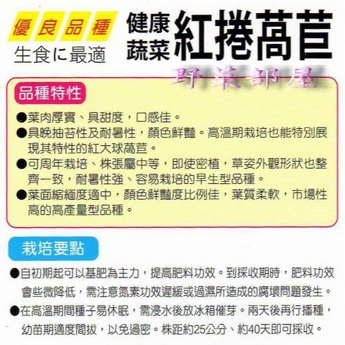 【萌田種子~】B14 日本紅捲萵苣種子0.8公克(約700粒) , 葉質柔軟~-細節圖2