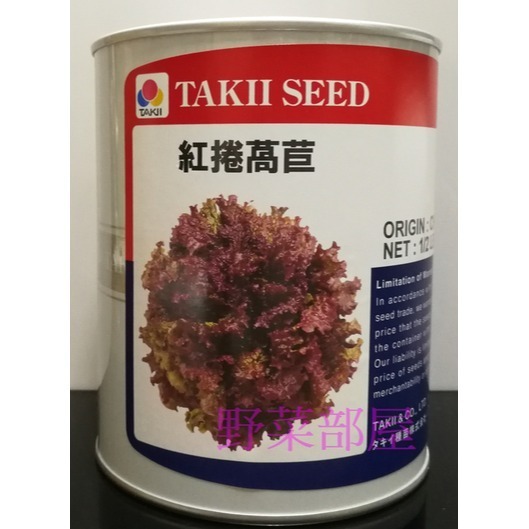 【萌田種子~】B14 日本紅捲萵苣種子0.8公克(約700粒) , 葉質柔軟~-細節圖3